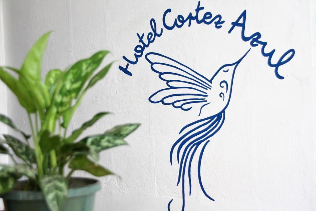 Hotel Cortez Azul Alajuela Esterno foto